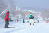 スキーの写真