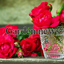 blog garden news