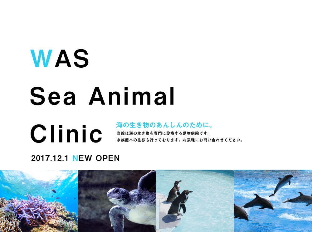 WAS Sea animal Clinic