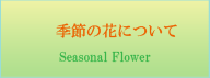 季節の花について