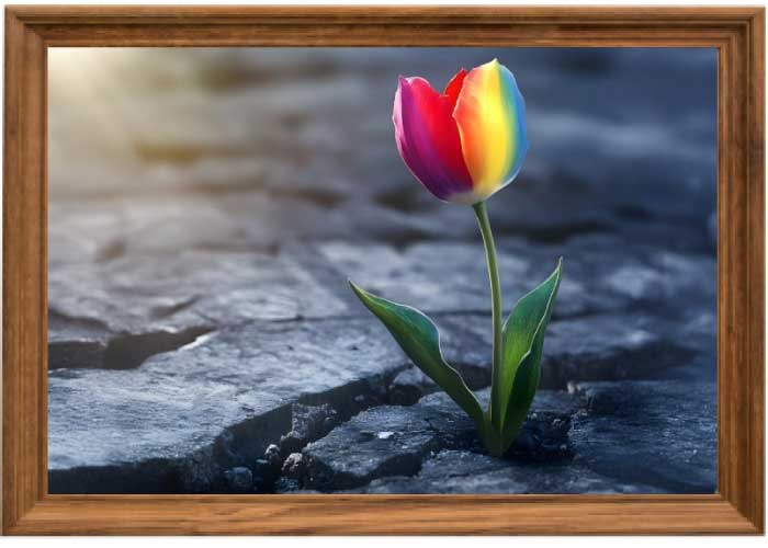 画像の代替テキストを入力