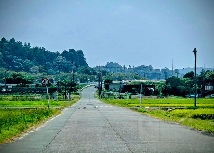 画像の代替テキストを入力