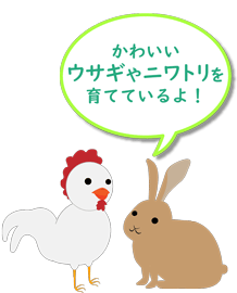 ウサギ、ニワトリの飼育について