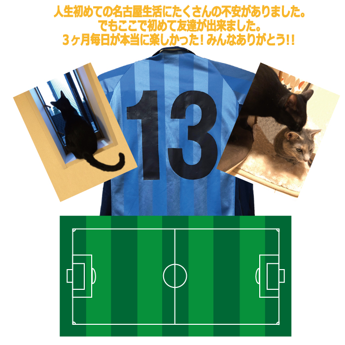 猫とサッカーと私と名古屋