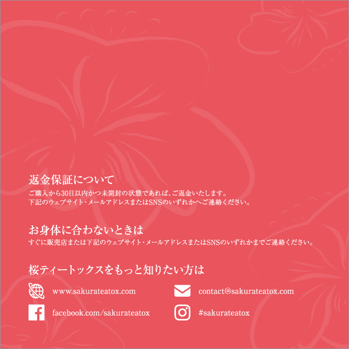 桜ティートックスリーフレット　裏表紙