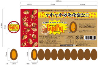 パッケージの展開図