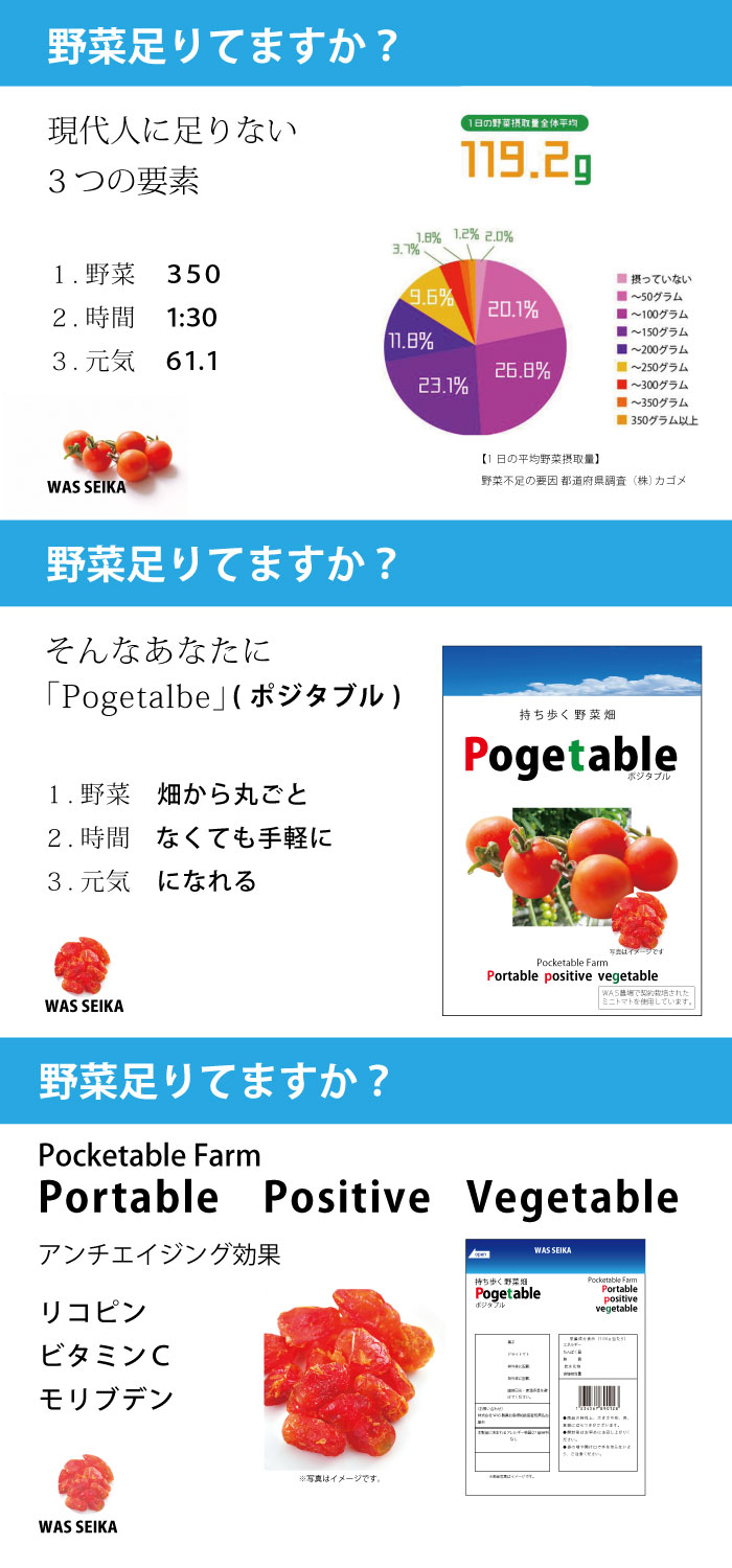 画像の代替テキストを入力