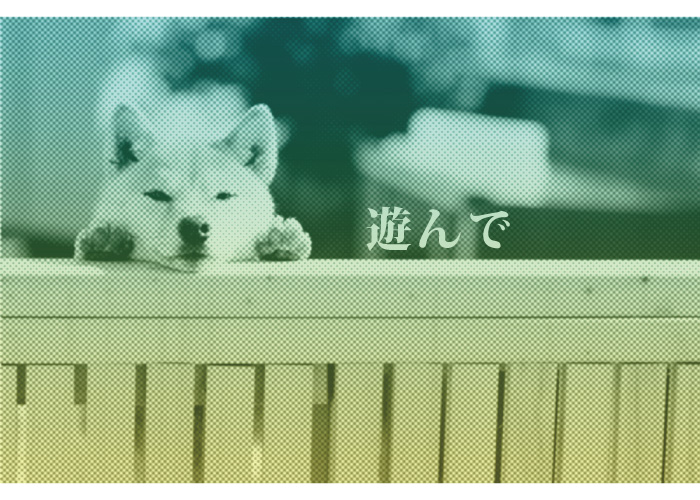 画像の代替テキストを入力