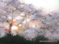 Aiマーケティングデザイナー科 01期生作品 ym_osk records