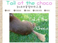 Webマーケティングデザイナー養成科 6期生作品 Tail of the choco