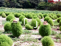 Webマーケティングデザイナー養成科 46期生作品 「　」