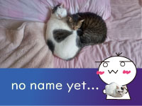 Webマーケティングデザイナー養成科 46期生作品 no-name-yet