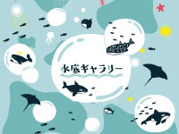Webマーケティングデザイナー養成科 49期生作品 水底ギャラリー