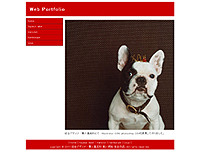 ǥʡ 21 -Web Portfolio-