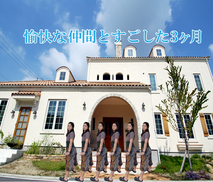 愉快な仲間たち