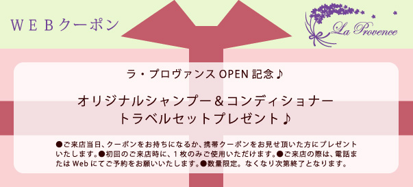 WEBݥ󡧥ȥ٥륻åȥץ쥼
