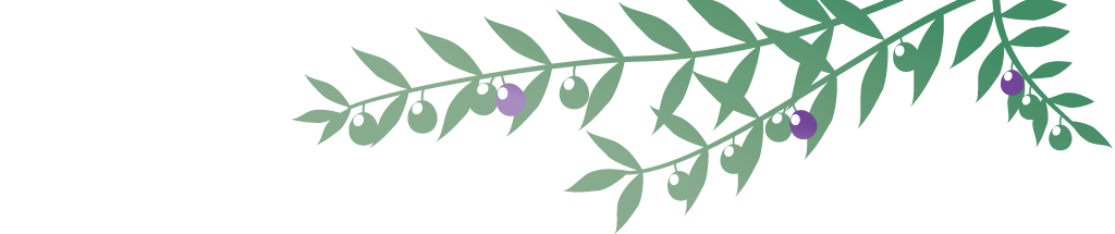 顦ץ󥹤ؤ褦