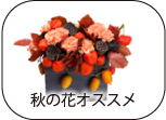 秋の花