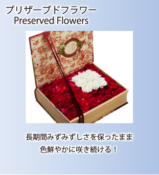 プリザーブドフラワー