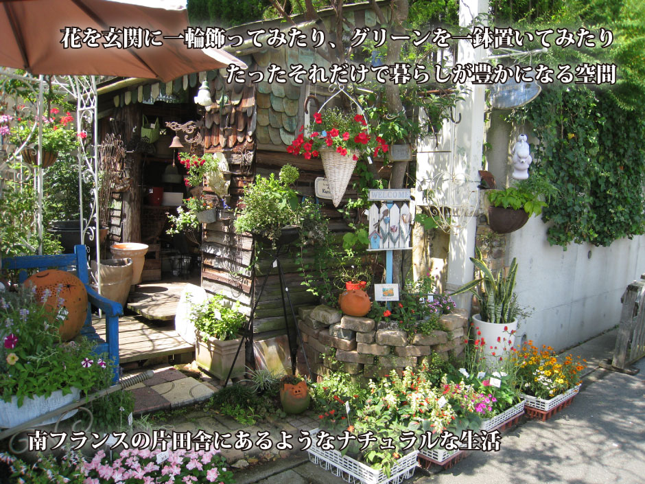 店舗