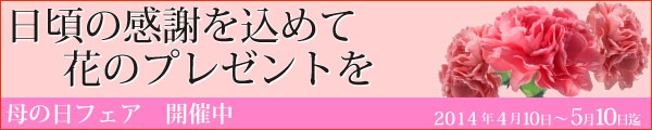 母の日フェア