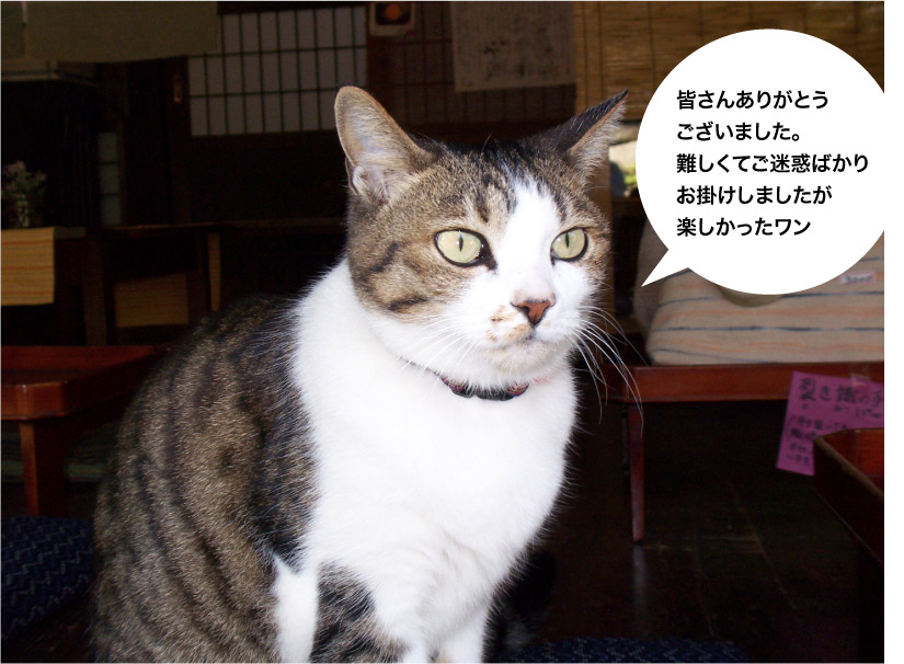 画像の代替テキストを入力