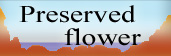preserved_flower