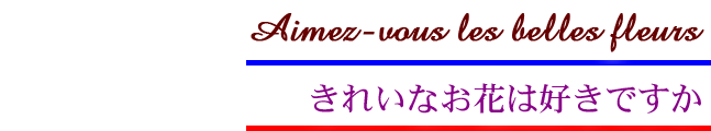 花に囲まれた生活はいかがですか。